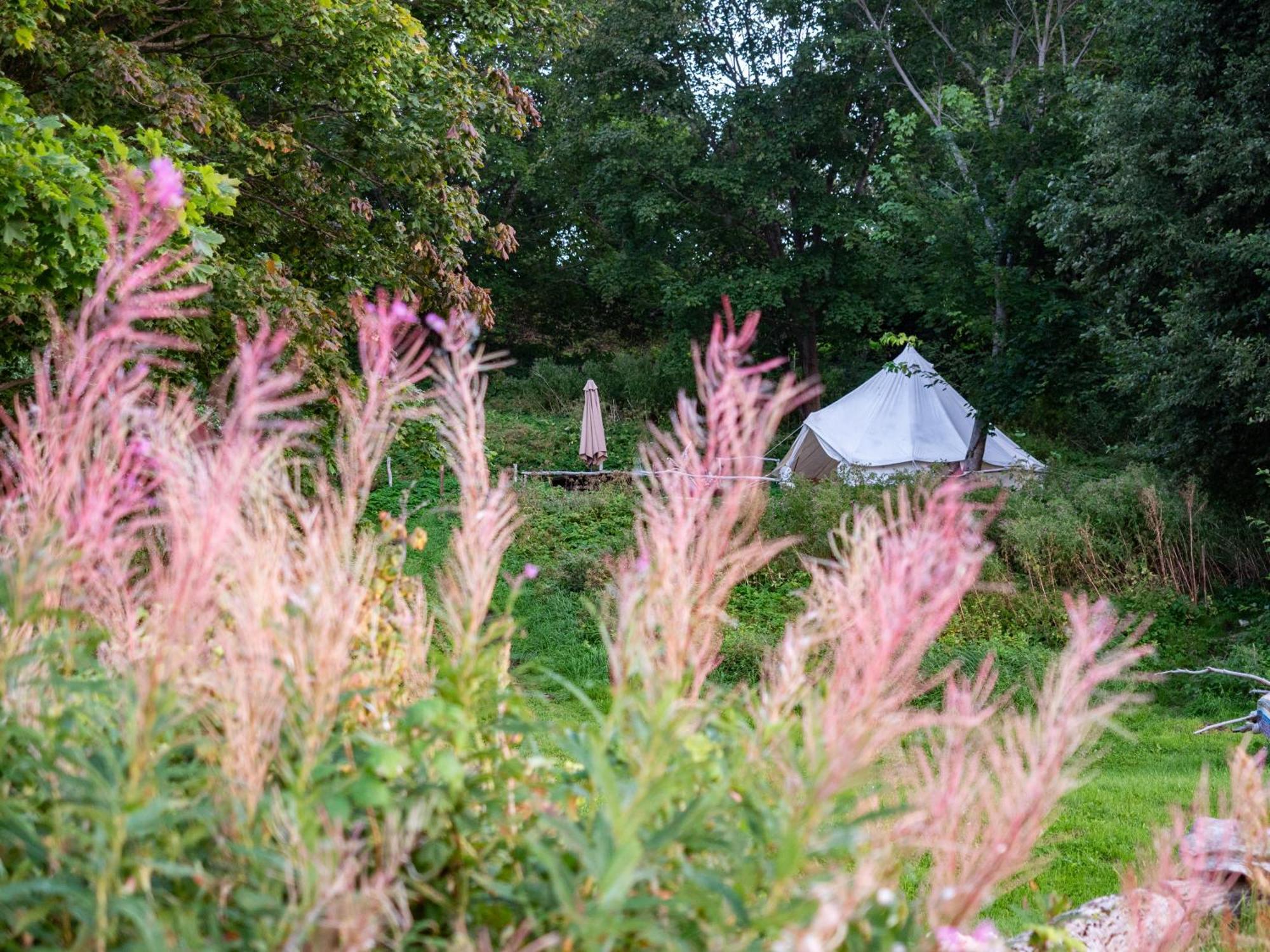 Mereaeaere Glamping Ja Rannamaja Liimala ภายนอก รูปภาพ